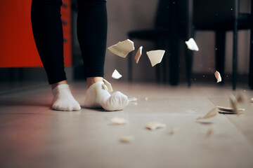 Detail of a Plate Falling on the Floor Breaking into Pieces 