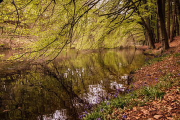 baitings resivour dam