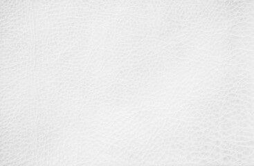 White genuine leather texture background. Empty luxury classic textures for decoration. 