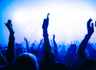crowd of people dancing at concert