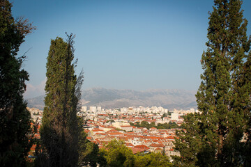 Fototapeta na wymiar view of the city through the trees