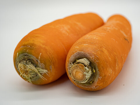 Fresh carrots just bought back