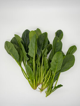 Just bought vegetables, a bag of spinach