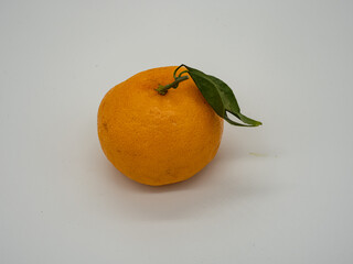 Fresh citrus on a white background