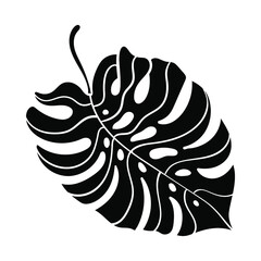 Tropical leaf of Monstera Deliciosa. Monstera tree leaf. Vector illustration isolated on white background. EPS 10