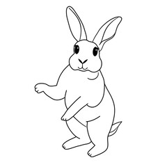cute hand draw standing minirex bunny rabbit vector
