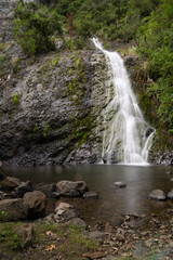 Scenic Waihirere Falls and bush off route 35 around east coast
