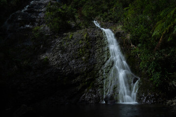 Fototapeta na wymiar Scenic Waihirere Falls and bush off route 35 around east coast