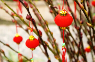 a Chinese lantern decoration