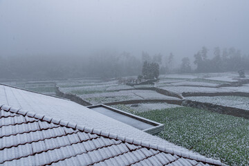 Rural roof tiles covered with white snow