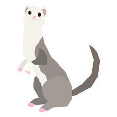 Ferret vector illustration in flat color design