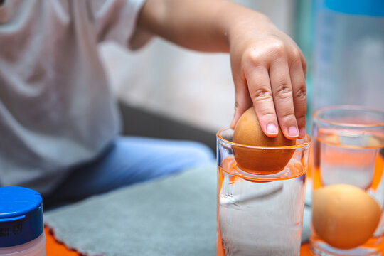 Kindergarten child doing science experiments. Sinking Eggs - Eggs float with salt and water in clear glass. Kid hand is holding egg and placing it in glass of water.