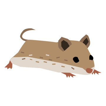 Chinese hamster vector illustration in flat color design