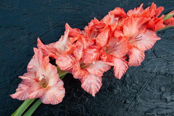 gladioli, flowers gladioli on the background, background, vegetables, place for text, food