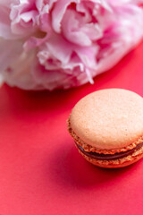 Top view of colorful macaron or macaroon and pink peony flower on red background.selective focus. Flat lay with Almond cookies.Variety of macarons pastry. copy space