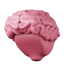 Pink brain high quality 3d render illustration icon isolated on white background. Innovation smart business concept app design ideas.