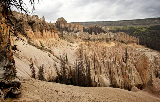 Heavily eroded formations of volcanic ash at Wheeler Geological Area near Creede Colorado
