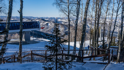 The cab of the funicular moves along a rope over a snow-covered valley. In the distance - a mountain range. In the foreground - trunks and bare branches of birch trees. Altai. Manzherok