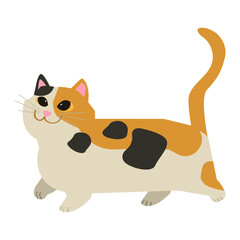 Munchkin cat vector illustration in flat color design