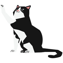 Tuxedo cat vector illustration in flat color design