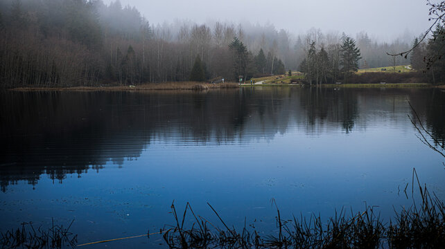 The fog covers the trees, the reflection is still there in the water though, they can't hide the beautiful morning.