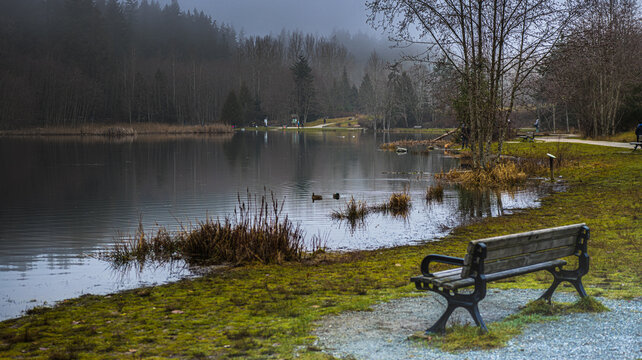 The pond with its ducks, beavers, and fish but yet still so still like glass.