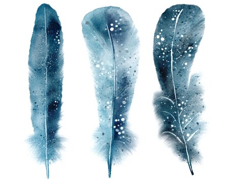 Set of three blue feathers watercolor illustration