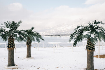 View of the central beach with palm trees and the city bay of the Black Sea during a snowfall. In...