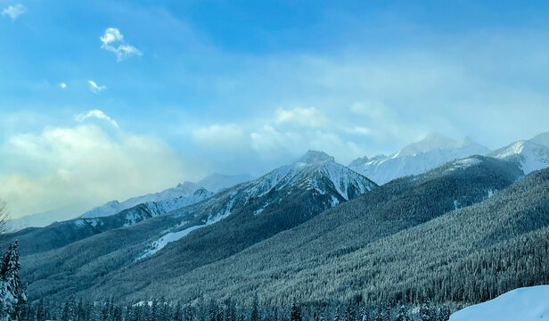 The mountains are a place of wonder, the home to so many animals.