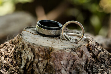 Elegant black and silver wedding bands on tree stump