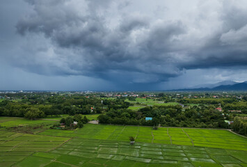 Fototapeta na wymiar top view Terraced rice field at Chiangmai Northern Thailand