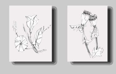 Set of creative minimalist hand drawn illustrations, pencil sketches