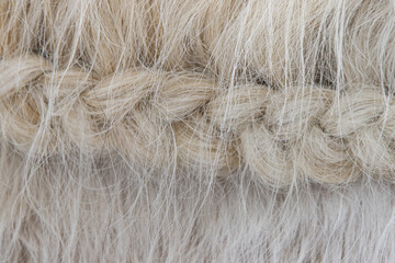 white animal fur as background