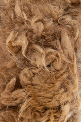 lumps of brown animal fur as a background