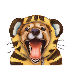 Cheerful dog laughs in a tiger costume. The portrait is isolated on a white background. Portrait - 487711854