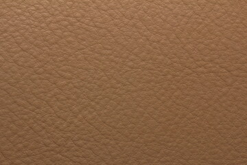 the texture of natural aniline leather of the highest quality of dressing