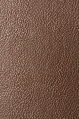 the texture of natural aniline leather of the highest quality of dressing