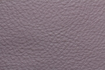 the texture of natural aniline leather of the highest quality of dressing