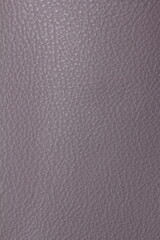 the texture of natural aniline leather of the highest quality of dressing
