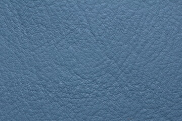 the texture of natural aniline leather of the highest quality of dressing