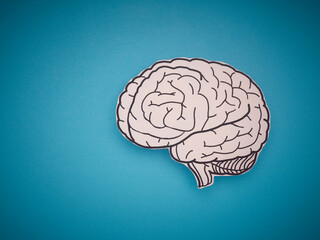 A brain shape made from paper on a blue background