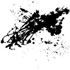 artistic, beautiful black blot, on a white background, splashes, insulator, blank for a beautiful background