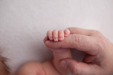 Little newborn baby fingers birth concept on white background