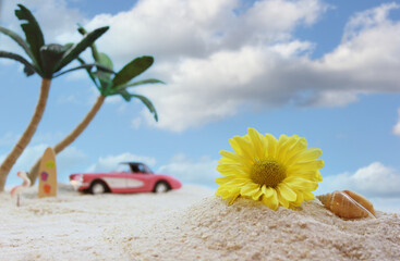 Flower and Sea Shell on Beach With Palm Tree in Background