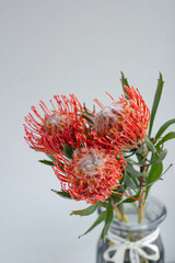 exotic bouquet of flowers. Leukadendron red and leukospermum, freesia