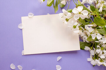 card mockup  with cherry blooming. spring mood. trandy colors Very Peri