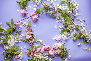 very peri wallpapers with spring blooming, cherry, sakura