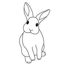 Fototapeta na wymiar cute hand draw little bunny rabbit with curious face outline vector 