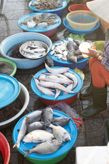 Fish, vegetables and spices sold in the markets of Hoi An, Vietnam