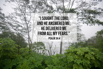 Bible verse inspirational quote - I sought the lord, and He answered me, He delivered me from all my fears. Psalm 34:4 With green forest background on a misty morning.